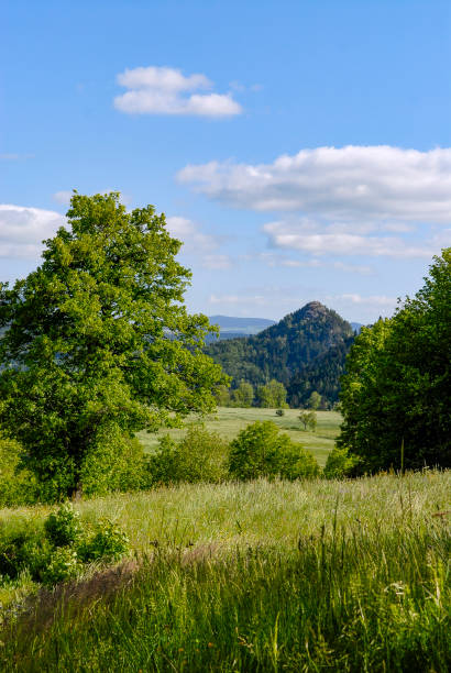 istock Spring landscape in the Auvergne mountains 1265573004