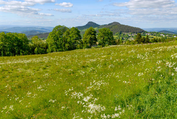 beautiful rural landscape of mountainous area. countryside scenery on a n overcast day in spring