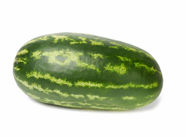 istock green oblong striped watermelon isolated on white background 1265587490