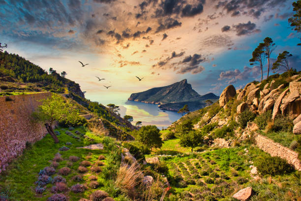 view from small island in the mediterranean sea, great and incredible landscapes full of emotion and calm, blue water and clear sky.