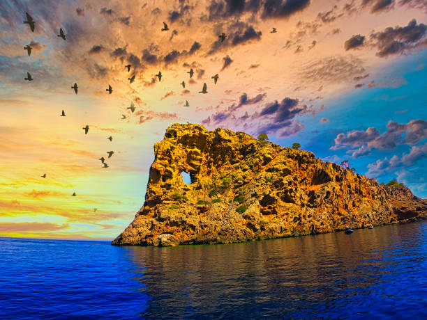 istock paradise at mallorca island in spain, mediterranean sea 1265587971