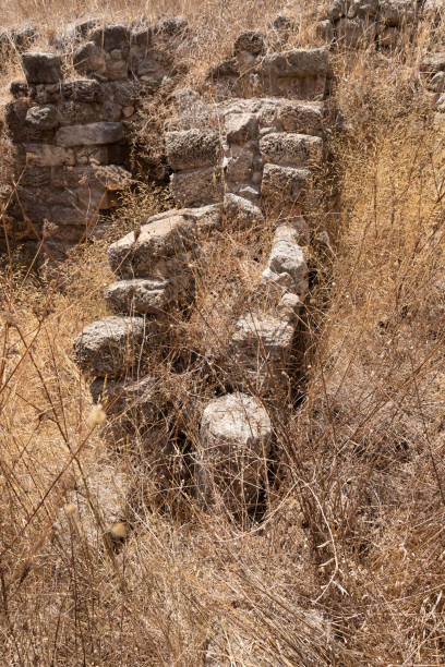 restos de las antiguas ruinas de la fortaleza de kafarlet. era propiedad de los señores de cesarea, luego se convirtió en propiedad de los hospitalarios. capturado por baybars en 1291. cerca de la ciudad de atlit en el norte de israel - cemetery grave military beauty in nature fotografías e imágenes de stock