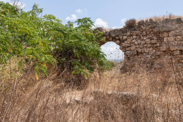 restos de las antiguas ruinas de la fortaleza de kafarlet. era propiedad de los señores de cesarea, luego se convirtió en propiedad de los hospitalarios. capturado por baybars en 1291. cerca de la ciudad de atlit en el norte de israel - cemetery grave military beauty in nature fotografías e imágenes de stock