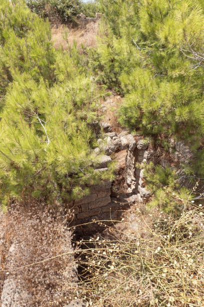 restos de las antiguas ruinas de la fortaleza de kafarlet. era propiedad de los señores de cesarea, luego se convirtió en propiedad de los hospitalarios. capturado por baybars en 1291. cerca de la ciudad de atlit en el norte de israel - cemetery grave military beauty in nature fotografías e imágenes de stock