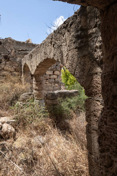 restos de las antiguas ruinas de la fortaleza de kafarlet. era propiedad de los señores de cesarea, luego se convirtió en propiedad de los hospitalarios. capturado por baybars en 1291. cerca de la ciudad de atlit en el norte de israel - cemetery grave military beauty in nature fotografías e imágenes de stock