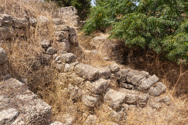 restos de las antiguas ruinas de la fortaleza de kafarlet. era propiedad de los señores de cesarea, luego se convirtió en propiedad de los hospitalarios. capturado por baybars en 1291. cerca de la ciudad de atlit en el norte de israel - cemetery grave military beauty in nature fotografías e imágenes de stock