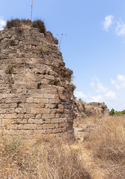 restos de las antiguas ruinas de la fortaleza de kafarlet. era propiedad de los señores de cesarea, luego se convirtió en propiedad de los hospitalarios. capturado por baybars en 1291. cerca de la ciudad de atlit en el norte de israel - cemetery grave military beauty in nature fotografías e imágenes de stock