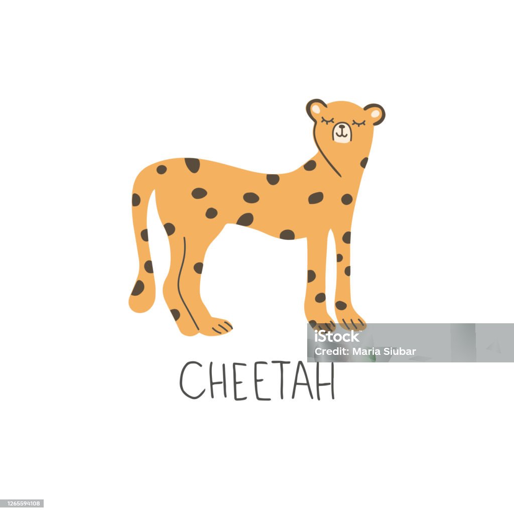 Vẽ Tay Cheetah Châu Phi Thẻ Động Vật Doodle Dễ Thương Minh Họa Trẻ Con Đầy  Màu Sắc Scandinavia Hình minh họa Sẵn có - Tải xuống Hình ảnh Ngay bây giờ -