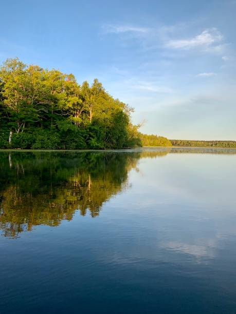 istock Vertical photo Morning on the lake 1265598434