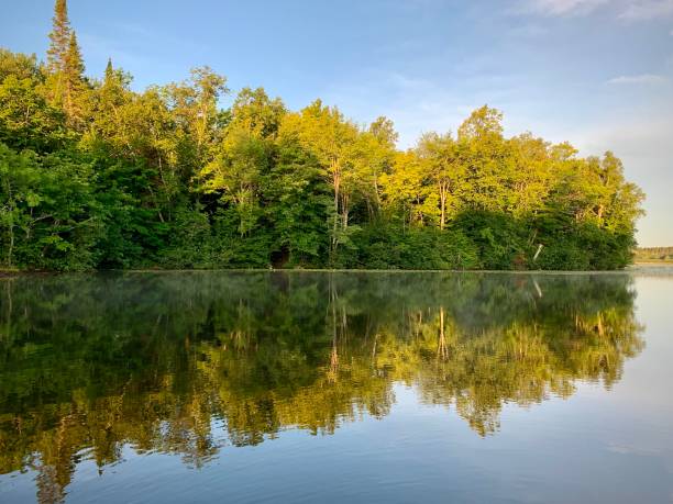 istock Morning on the lake 1265598481
