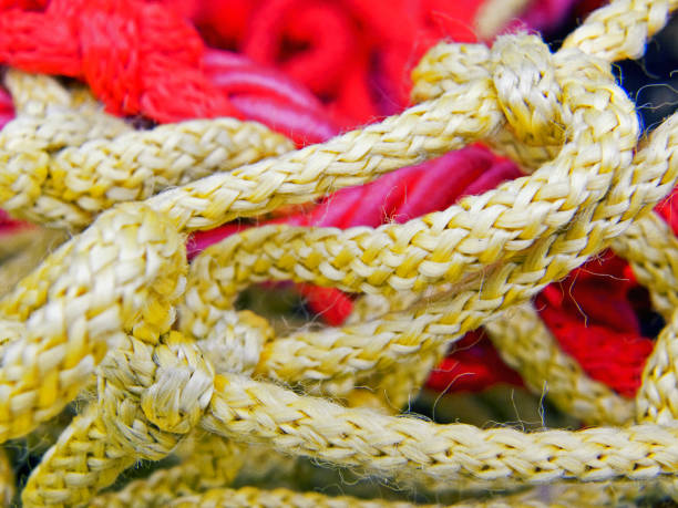 istock Safety net for trampoline in close-up (Picture No 02) 1265604261