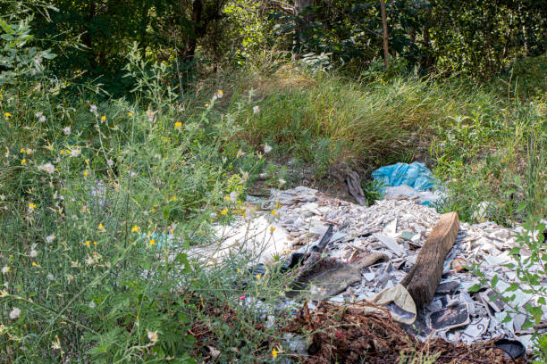 istock Heaps of dirty garbage rubbish in nature, pollution, plastic. 1265605067
