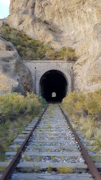 alter eisenbahntunnel mit eisenbahn im berg - train tunnel stock-fotos und bilder