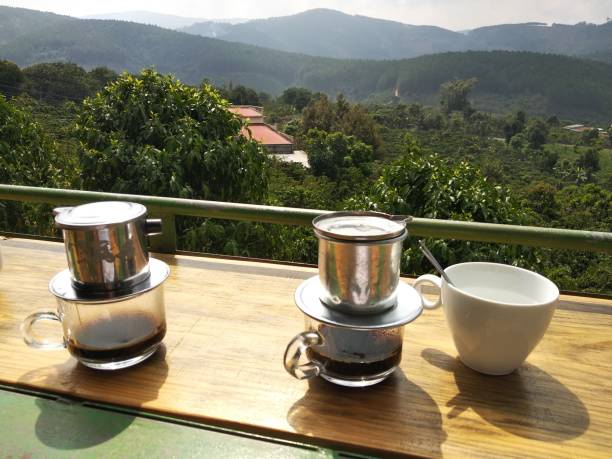 istock Coffee overlooking the plantation 1265609446