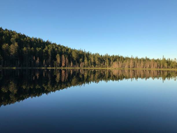 istock Coniferous forest reflecting on calm water surface of mountain lake 1265611999
