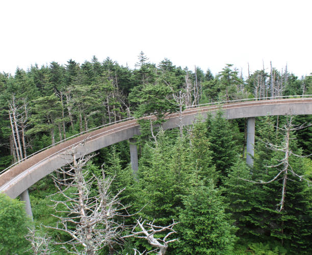 istock Clingmans Dome on the Appalachian Trail 1265618777
