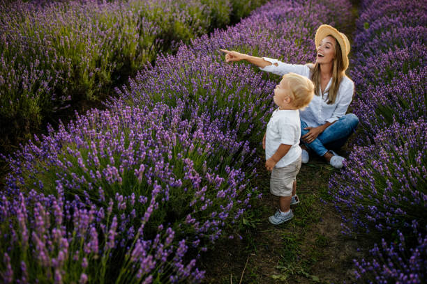 istock Family fun time at lavender field 1265620397