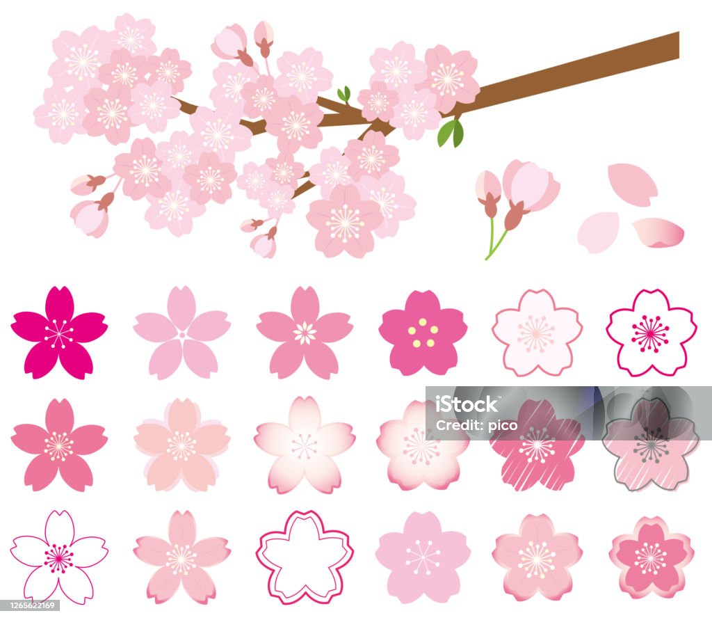 Ilustración de Conjunto De Icono De Flor De Cerezo Y Rama De Flor De Cerezo y más Vectores Libres de Derechos de Flor de cerezo - iStock Ilustración de Conjunto De Icono De Flor De Cerezo Y Rama De Flor De Cerezo y más Vectores Libres de Derechos de Flor de cerezo - iStock