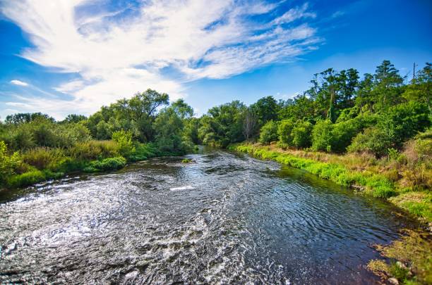 istock The river white Elster through Halle 1265622285
