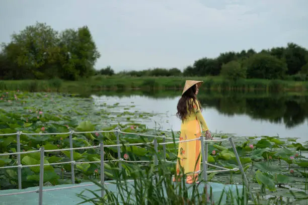 Girl staying near the lotuses lake on the Plastic floating pontoon bridge.  Asian girl with Ao-Dai  traditional Vietnam dress costume for woman.  Travel concept. Beautiful nature.