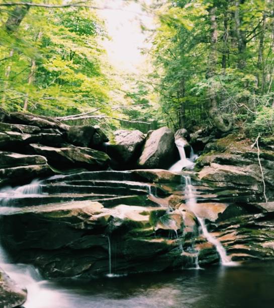 istock Hiking in Maine 1265625898