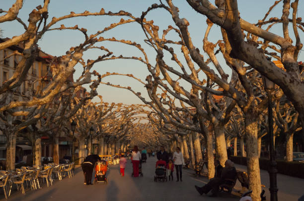 Calatayud. Zaragoza. Aragon. Spain. November 9 2009: people walking by an avenue with trees