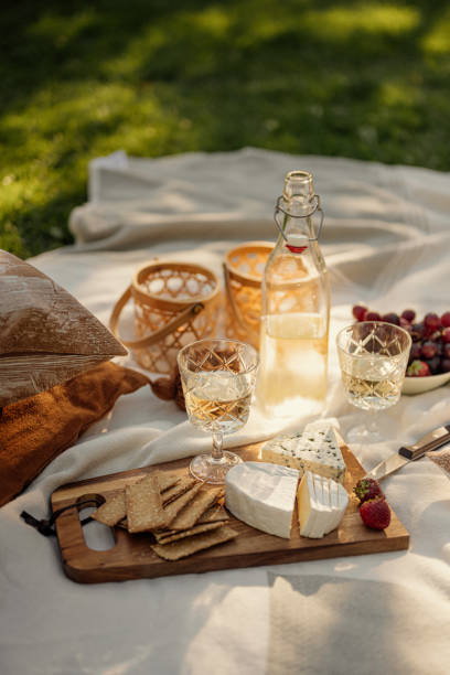istock Wine and cheese picnic outdoors in summer 1265629592