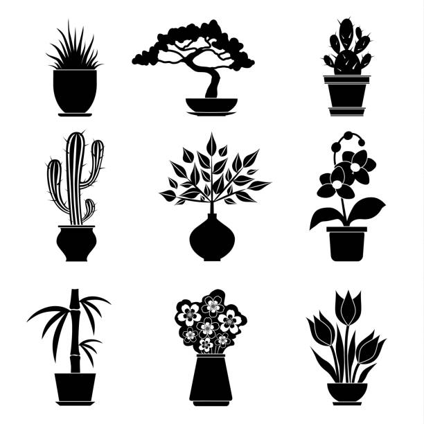 Set of silhouettes of house plants. Vector. Vector silhouettes of houseplants and flowers isolated on white background. Set stencil house plants. bonsai tree stock illustrations