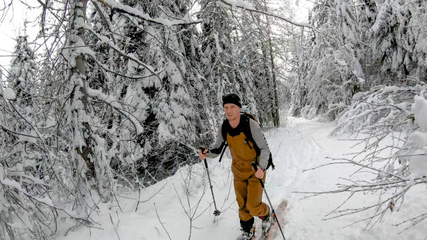 jovem sertanejo esquia pela floresta com neve fresca - telemark skiing skiing ski moving down - fotografias e filmes do acervo