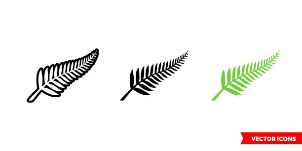 ilustrações, clipart, desenhos animados e ícones de ícone de símbolos neozelandeses de 3 tipos de cor, preto e branco, contorno. símbolo isolado do sinal vetorial - samambaia