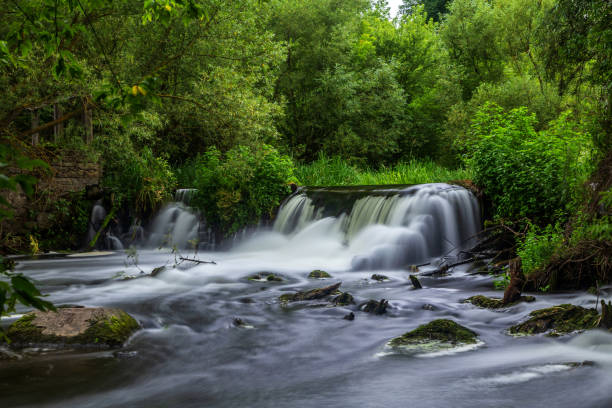 istock Beautiful waterfall in an abandoned forest on a summer day. 1265643298