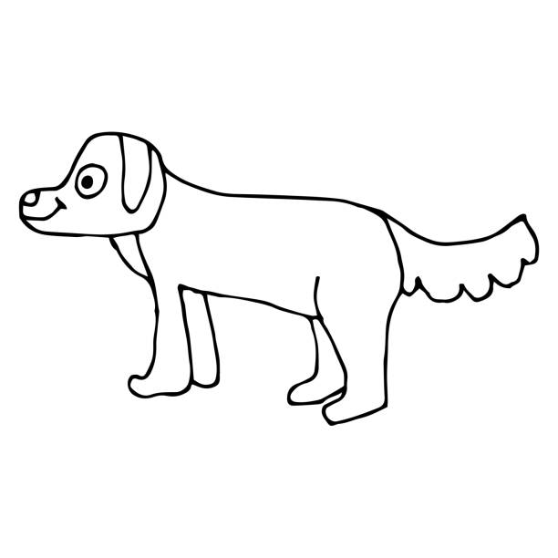 мультфильм каракули линейной милой собакой изолированы на белом фоне. - golden retriever retriever white background isolated stock illustrations