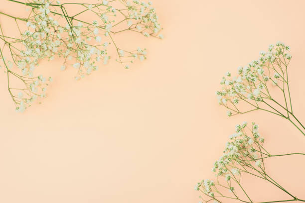 istock Layout Composition of white flowers in a rustic style, a place for your text. Flat lay, top view photo mock up. dried flower on a pink background 1265644352