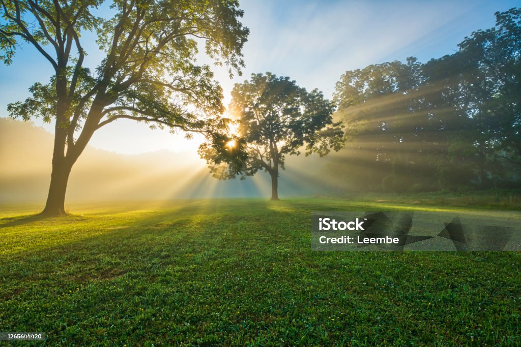 Dreamy sunrise at Naritan New Jersey Dreamy sunrise at Naritan Park in New Jersey featuring sun rays beaming through the tree Hill Stock Photo