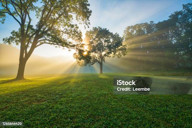 Dreamy Sunrise At Naritan New Jersey Stock Photo - Download Image Now - Hill, New Jersey, Sunrise - Dawn