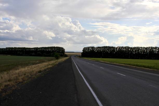 istock Summer landscape with sown rye fields along the road 1265645584