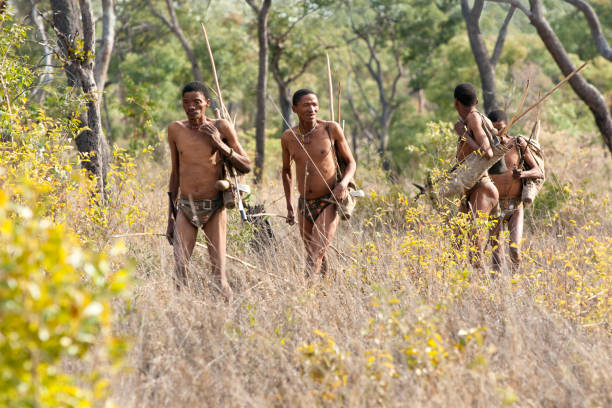 ; !Kung Bushman hunting in the Kalahari Bushmanland, Namibia - June 25, 2009: A group of male adult barechested Ju/'hoan !Kung Bushman walk barefooted  through the Kalahari bush on a hunter-gatherer expedition outside of Nhoma village on a hot sunny day, Kalahari Desert,  Africa loin cloth stock pictures, royalty-free photos & images