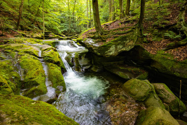 Browns Creek cascading waters lined with autumn colors of hardwood forest in the Green Mountains of Vermont