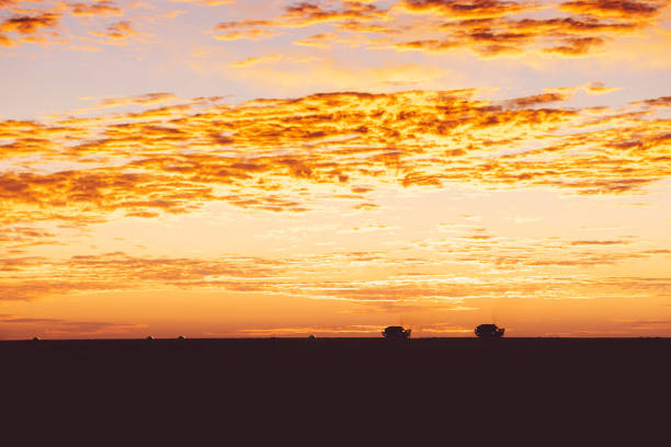 récolte de coton avec le coucher du soleil - lubbock photos et images de collection