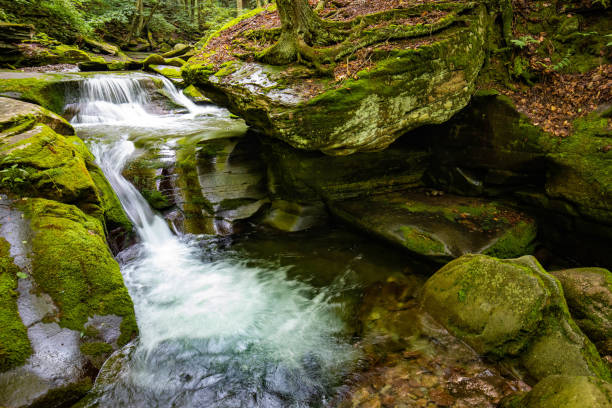 istock Beautiful rocky sundown forest river cascades summer day 1265649858