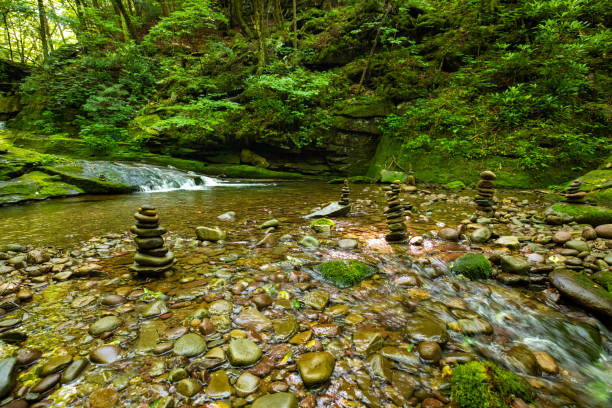 Beautiful rocky sundown forest river cascades summer day nobody