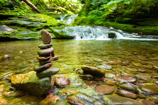 Beautiful rocky sundown forest river cascades summer day nobody