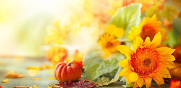 istock Autumn festive background with sunflowers, pumpkins and fall leaves. 1265652113