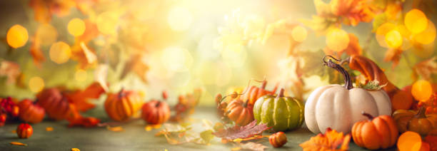 decoración festiva otoñal de calabazas, bayas y hojas. - noviembre fotos fotografías e imágenes de stock