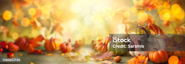 Festive Autumn Decor From Pumpkins Berries And Leaves Stock Photo - Download Image Now