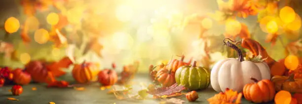Photo of Festive autumn decor from pumpkins, berries and leaves.