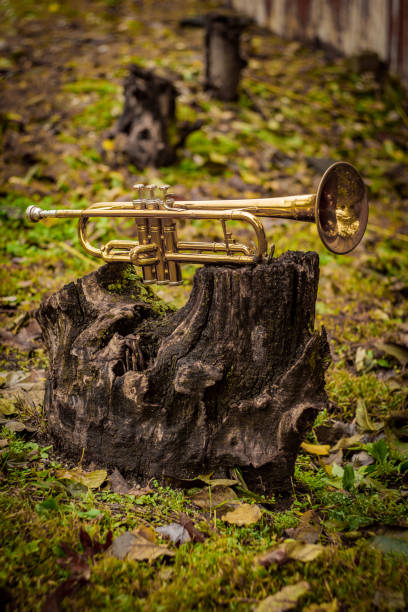 Autumn jazz instrument trumpet standing alone in nature