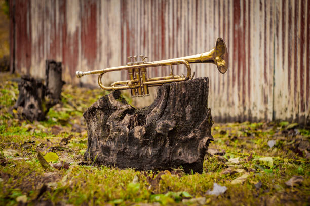 Autumn jazz instrument trumpet standing alone in nature