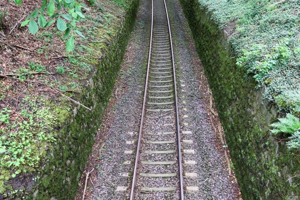 istock Multiple railroad tracks with junctions at a railway station in a perspective and birds view 1265654064