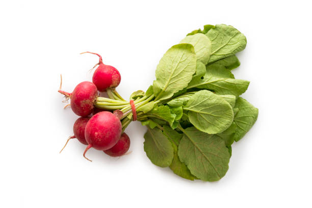 radis rouge frais - radish bunch red vegetable photos et images de collection